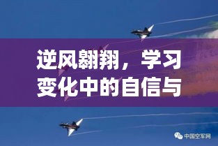 2024年12月14日 第7页