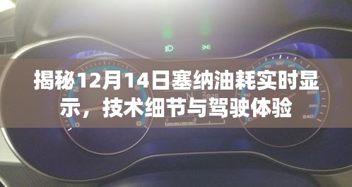 揭秘，塞纳油耗实时显示技术细节与驾驶体验解析（12月14日版）