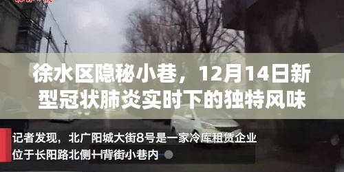 徐水区隐秘小巷，12月14日实时新型冠状肺炎下的独特风情体验