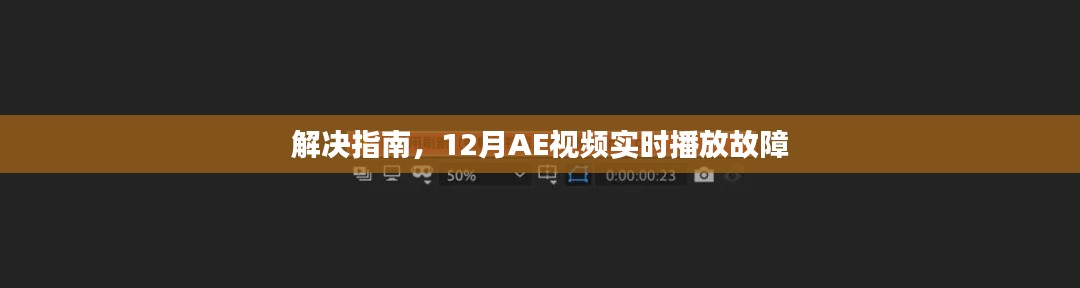 2024年12月15日 第20页