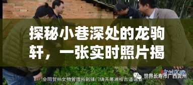 探秘小巷深处的龙驹轩，揭开历史神秘面纱的实时照片之旅