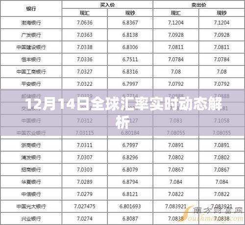 12月14日全球汇率实时动态深度解析