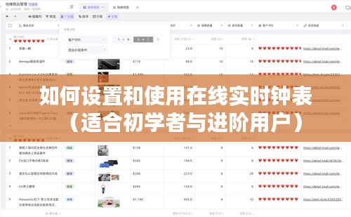 在线实时钟表设置与使用指南，初学者与进阶用户必备教程