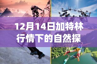 12月加特林行情下的自然探索之旅，追寻内心宁静与喜悦的旅程