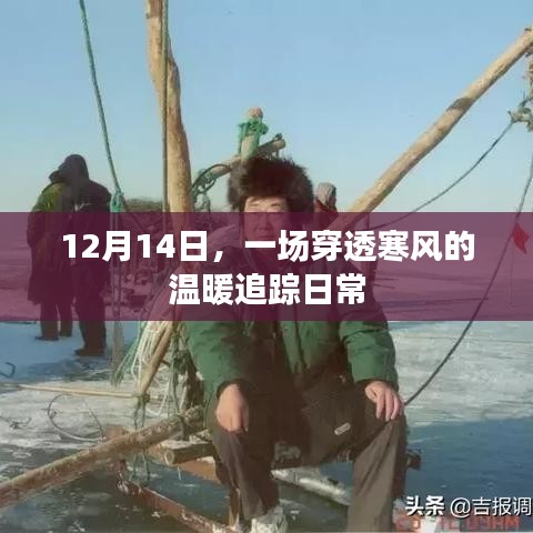 冬日暖心追踪，日常中的温情瞬间