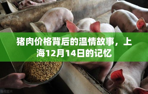 猪肉价格背后的温情故事，上海12月14日的记忆回顾