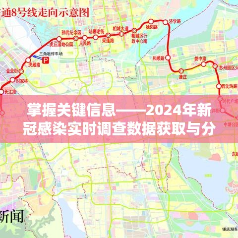 掌握关键信息，2024年新冠感染实时调查数据获取与分析全攻略