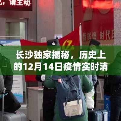 长沙独家揭秘，历史疫情数据深度解析——12月14日实时消息回顾