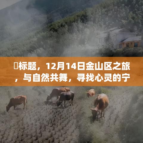 12月14日金山区之旅，与自然共舞，探索心灵宁静胜地