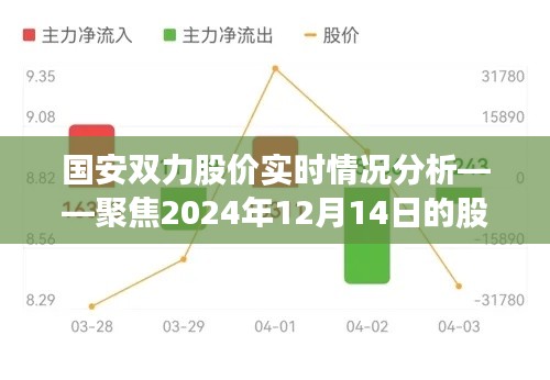 国安双力股价实时分析，聚焦股市风云，洞悉市场动向——2024年12月14日报告