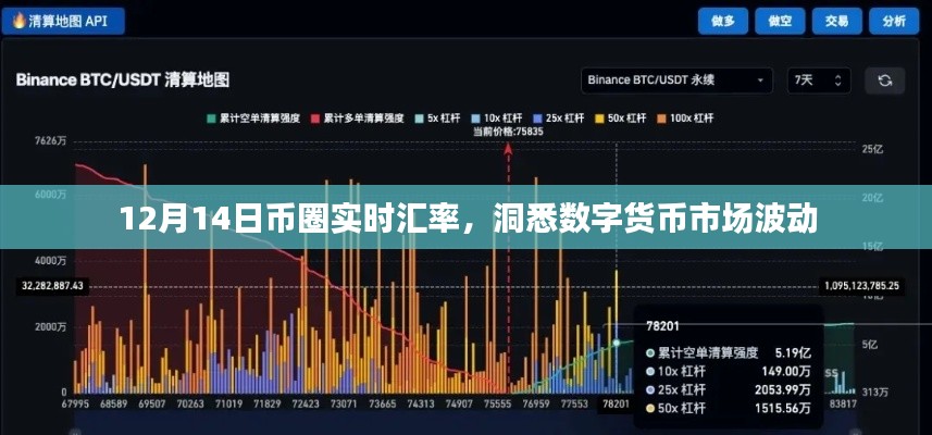 12月14日数字货币市场汇率波动解析