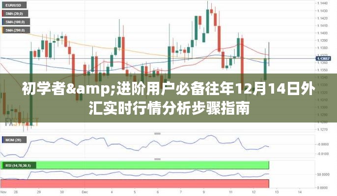 往年12月14日外汇实时行情分析步骤指南，初学者与进阶用户必备