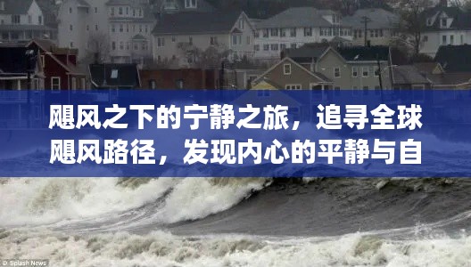 飓风下的宁静追寻，全球飓风路径与自然奇迹的启示