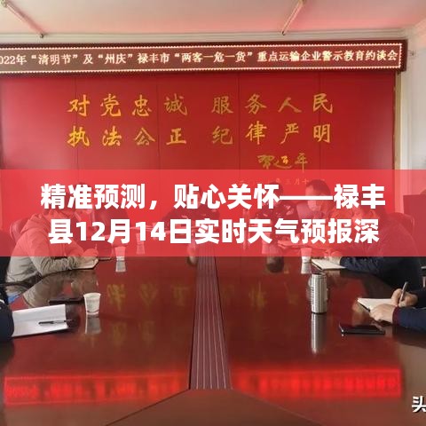 禄丰县天气预报精准预测与深度评测，贴心关怀，实时掌握天气动态