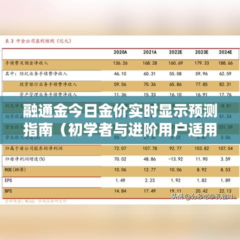 融通金今日金价实时预测指南，初学者与进阶用户适用（预测版 2024年12月14日）