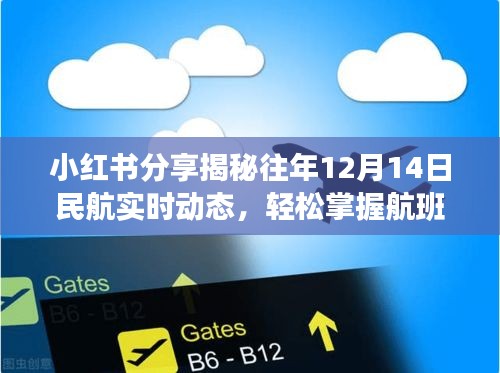 小红书分享，揭秘往年12月14日民航实时动态，航班信息一手掌握！