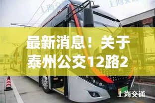 泰州公交12路实时运营状态解析，最新消息及未来展望（2024年12月14日版）