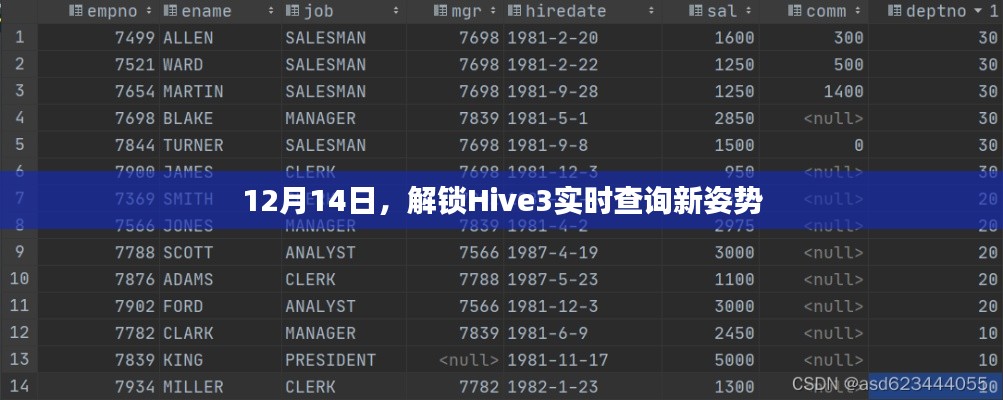 Hive3实时查询新姿势解锁，12月14日重磅发布