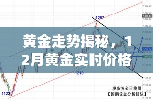 黄金走势揭秘，新浪财经独家解析12月黄金实时价格动态