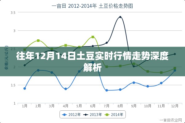 往年12月14日土豆行情深度解析及实时走势分析