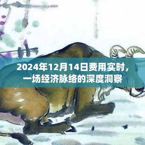 经济脉络深度洞察，实时费用分析与展望（2024年12月14日）