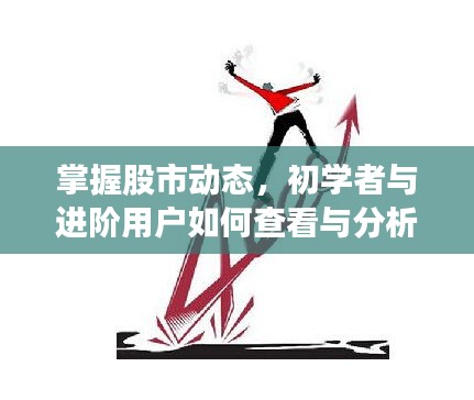 掌握股市动态，初学者与进阶用户脸书实时股价指南解析