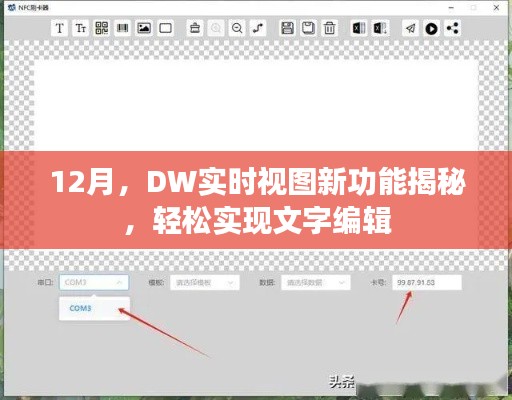 DW实时视图新功能揭秘，文字编辑轻松实现