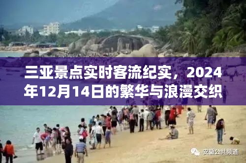 三亚景点实时客流纪实，繁华与浪漫交织的2024年12月14日