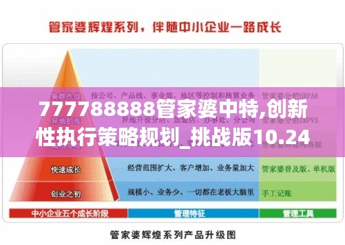 777788888管家婆中特,创新性执行策略规划_挑战版10.240