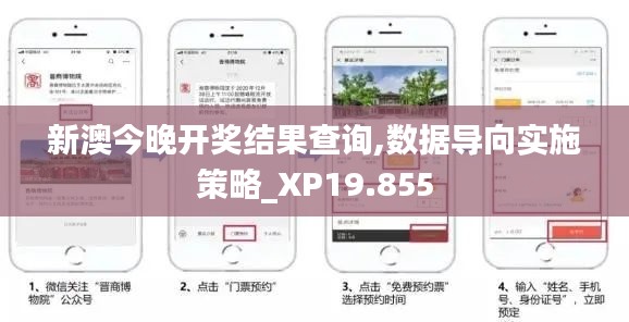 新澳今晚开奖结果查询,数据导向实施策略_XP19.855