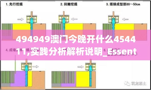 494949澳门今晚开什么454411,实践分析解析说明_Essential10.680