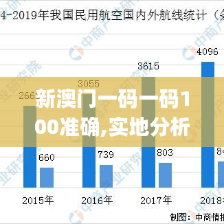 新澳门一码一码100准确,实地分析数据执行_苹果版10.953