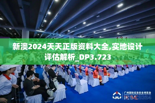 新澳2024天天正版资料大全,实地设计评估解析_DP3.723