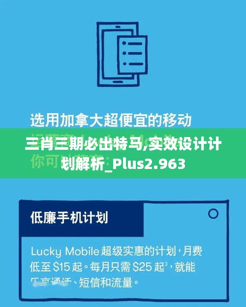 三肖三期必出特马,实效设计计划解析_Plus2.963