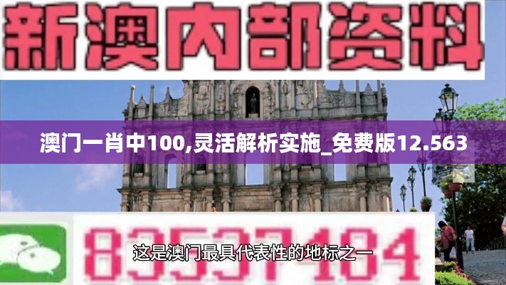 澳门一肖中100,灵活解析实施_免费版12.563