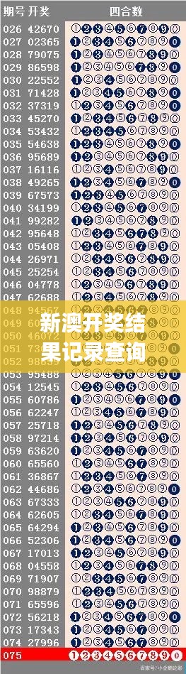 新澳开奖结果记录查询表,数据导向实施步骤_XR12.358