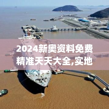 2024新奥资料免费精准天天大全,实地考察数据分析_领航版10.931