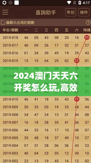 2024澳门天天六开奖怎么玩,高效计划分析实施_网红版2.703