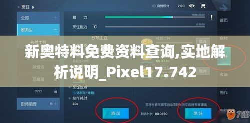 新奥特料免费资料查询,实地解析说明_Pixel17.742