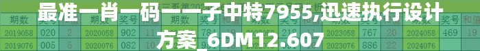 最准一肖一码一一子中特7955,迅速执行设计方案_6DM12.607