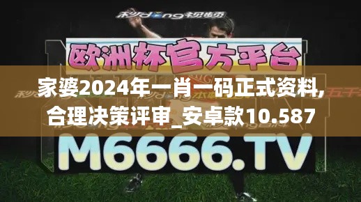 家婆2024年一肖一码正式资料,合理决策评审_安卓款10.587