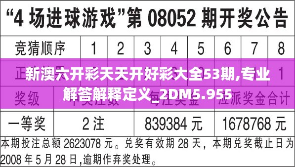 新澳六开彩天天开好彩大全53期,专业解答解释定义_2DM5.955