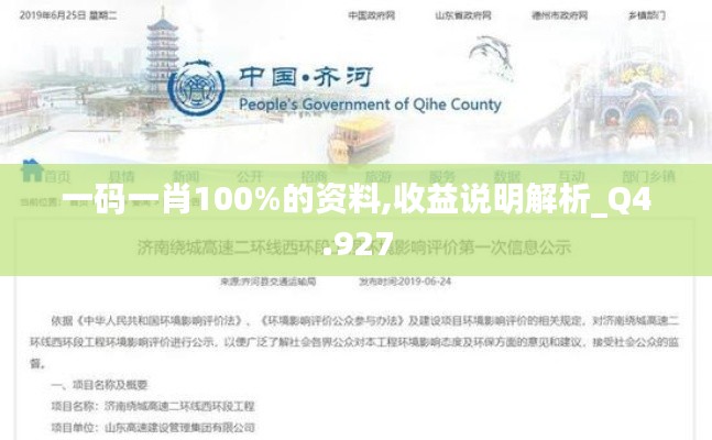 一码一肖100%的资料,收益说明解析_Q4.927