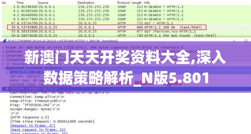 新澳门天天开奖资料大全,深入数据策略解析_N版5.801