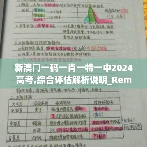 新澳门一码一肖一特一中2024高考,综合评估解析说明_RemixOS2.800