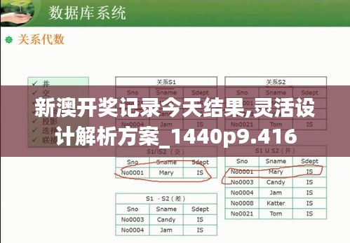 新澳开奖记录今天结果,灵活设计解析方案_1440p9.416