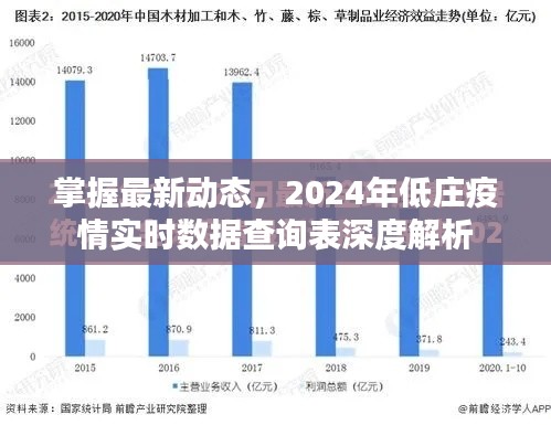 2024年低庄疫情实时数据查询表深度解析，掌握最新动态