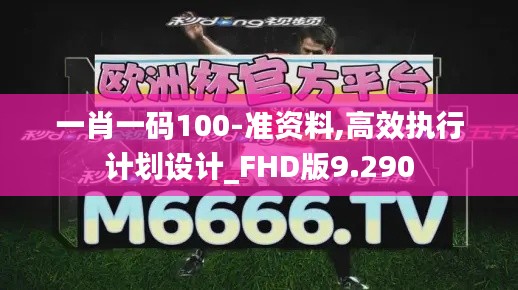 一肖一码100-准资料,高效执行计划设计_FHD版9.290