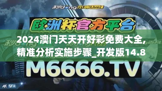 2024澳门天天开好彩免费大全,精准分析实施步骤_开发版14.807