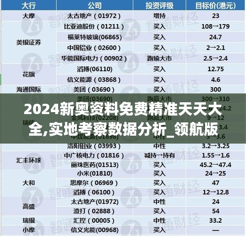 2024新奥资料免费精准天天大全,实地考察数据分析_领航版10.931